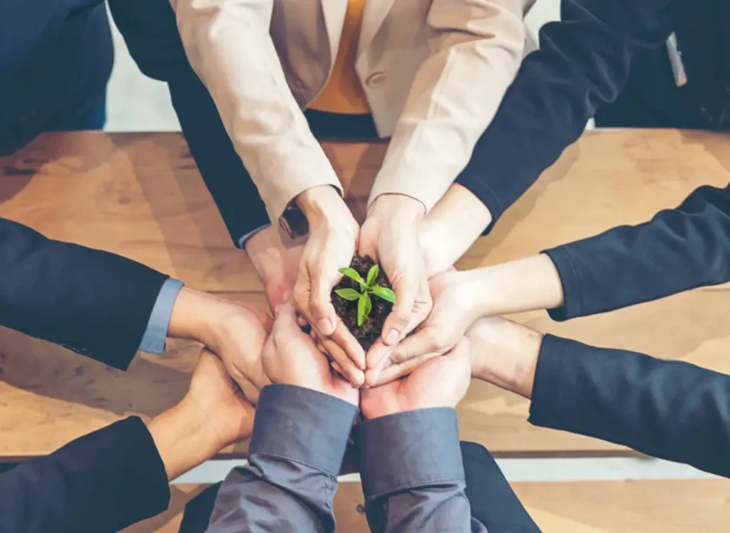 environmental management