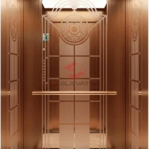 Passenger Elevator | LJ-K10 | LJ Elevator