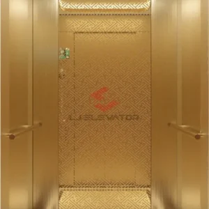Passenger Elevator Supplier | LJ-K19 | LJ Elevator
